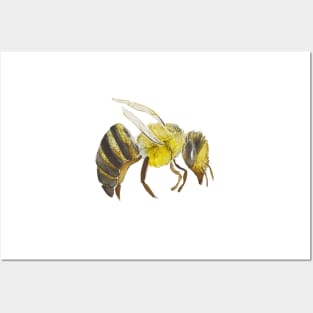 Watercolor Bumblebee Design Posters and Art